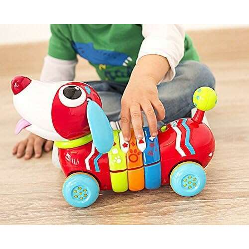 Remote Control Rainbow Puppy - Medaid International