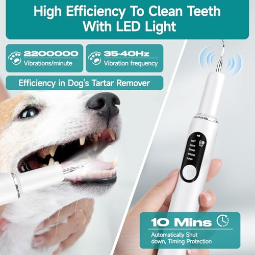 Jellytree - Dog Plaque & Tartar Remover Kit with LED Light, 5 Cleaning Modes