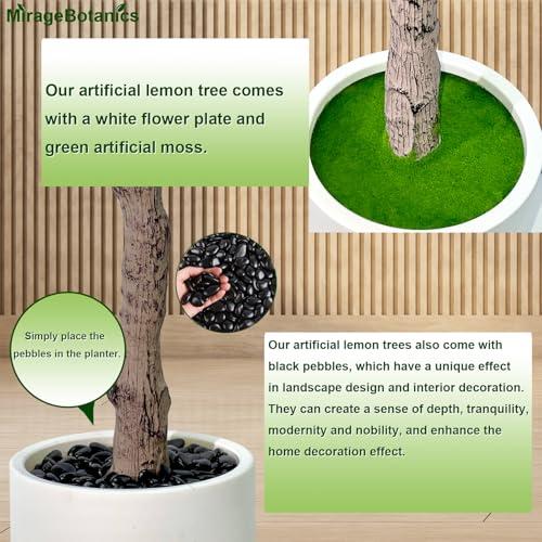 6ft Artificial Lemon Tree Indoor Outdoor - Faux Lemon Plant with Realistic Fruits & Natural Wood Trunk, Includes White Planter for Home, Office, Mall, Hotel, Living Room, Meeting Room Decor - Medaid International