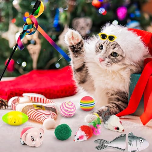 Christmas Calendar (B) - Medaid International