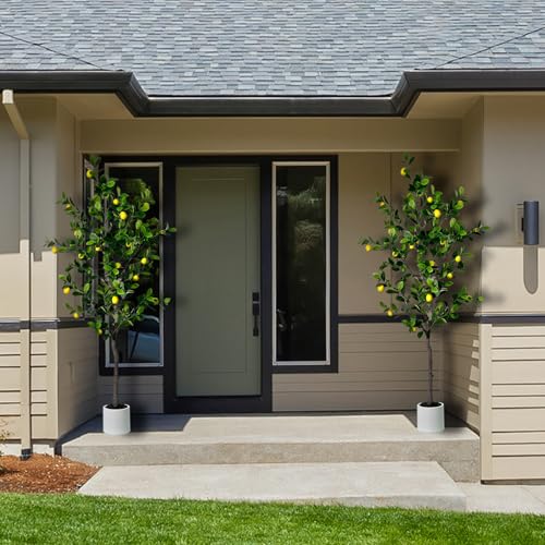 6ft Artificial Lemon Tree Indoor Outdoor - Faux Lemon Plant with Realistic Fruits & Natural Wood Trunk, Includes White Planter for Home, Office, Mall, Hotel, Living Room, Meeting Room Decor - Medaid International