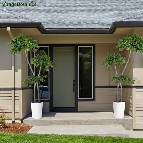 5ft Tall Artificial Black Olive Tree with 959 Lifelike Leaves, Fake Plant in White Tall Planters, Faux Olive Tree with 2 Poles for Living Room Office Garden Decor - Medaid International