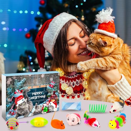 Christmas Calendar (B) - Medaid International