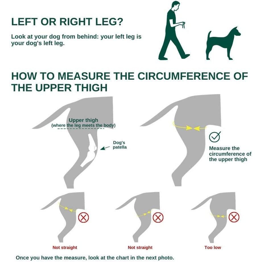 Ortocanis - Original Knee Brace for Dogs, ACL Support, Arthritis Relief, Size XL Right Leg