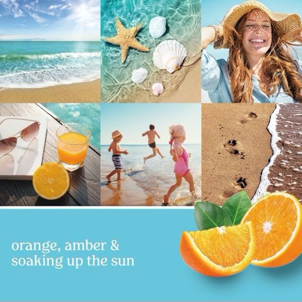 Yankee Candle Small Tumbler Scented Single Wick Jar Candle, Catching Rays, Over 20 Hours of Burn Time, 4.3 Ounce (Pack of 2) - Medaid International