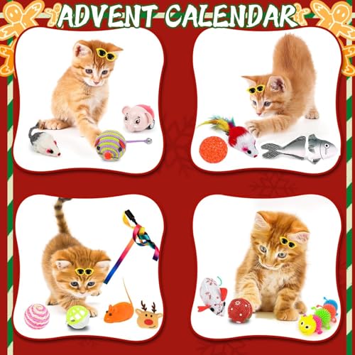 Christmas Calendar (B) - Medaid International