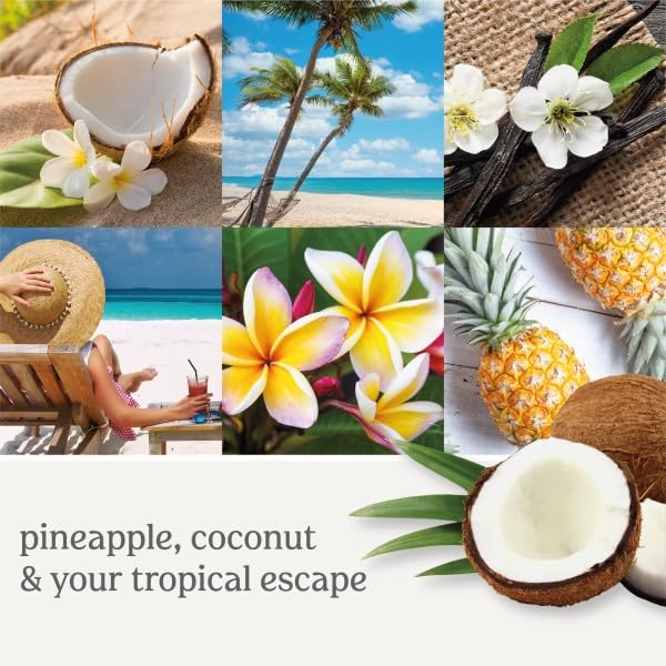 Yankee Candle Coconut Beach Electric Home Fragrance Scent Plug Refill (Pack of 4) - Medaid International