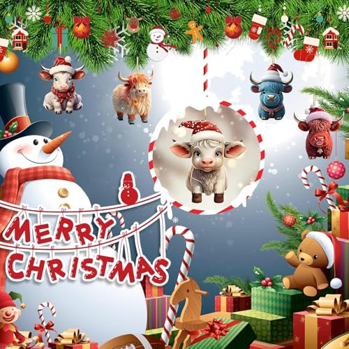 Christmas Calendar (C) - Medaid International