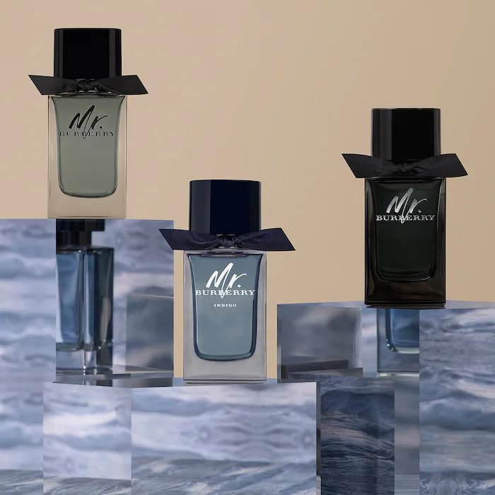 Burberry Mr. Burberry Eau de Parfum 3.3 fl oz - Medaid International