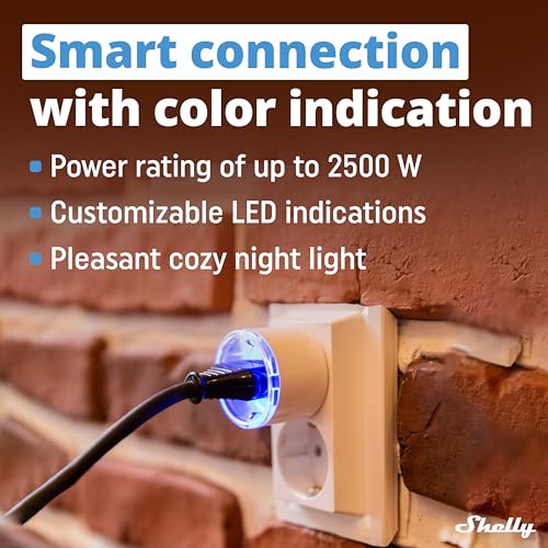 Shelly - Smart Programmable Socket with Alexa & Google Home Integration