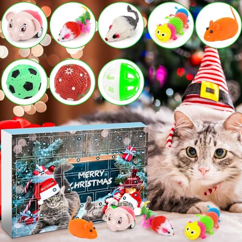 Christmas Calendar (B) - Medaid International