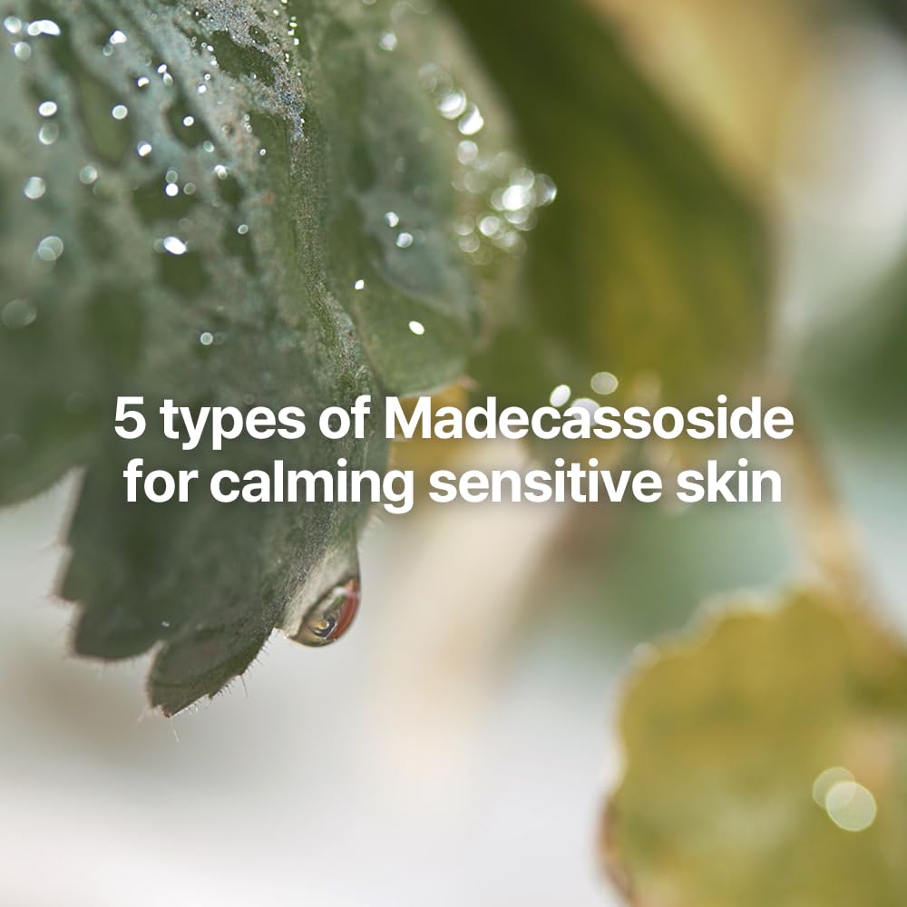 Pyunkang Yul Calming Line Gift Box Set-Korean Facial Skin Care Essential for Daily Moisturizing with Toner, Serum, Cream, Vegan & Cruelty Free Stocking Stuffer Christmas Holiday New Year gift set - Medaid International