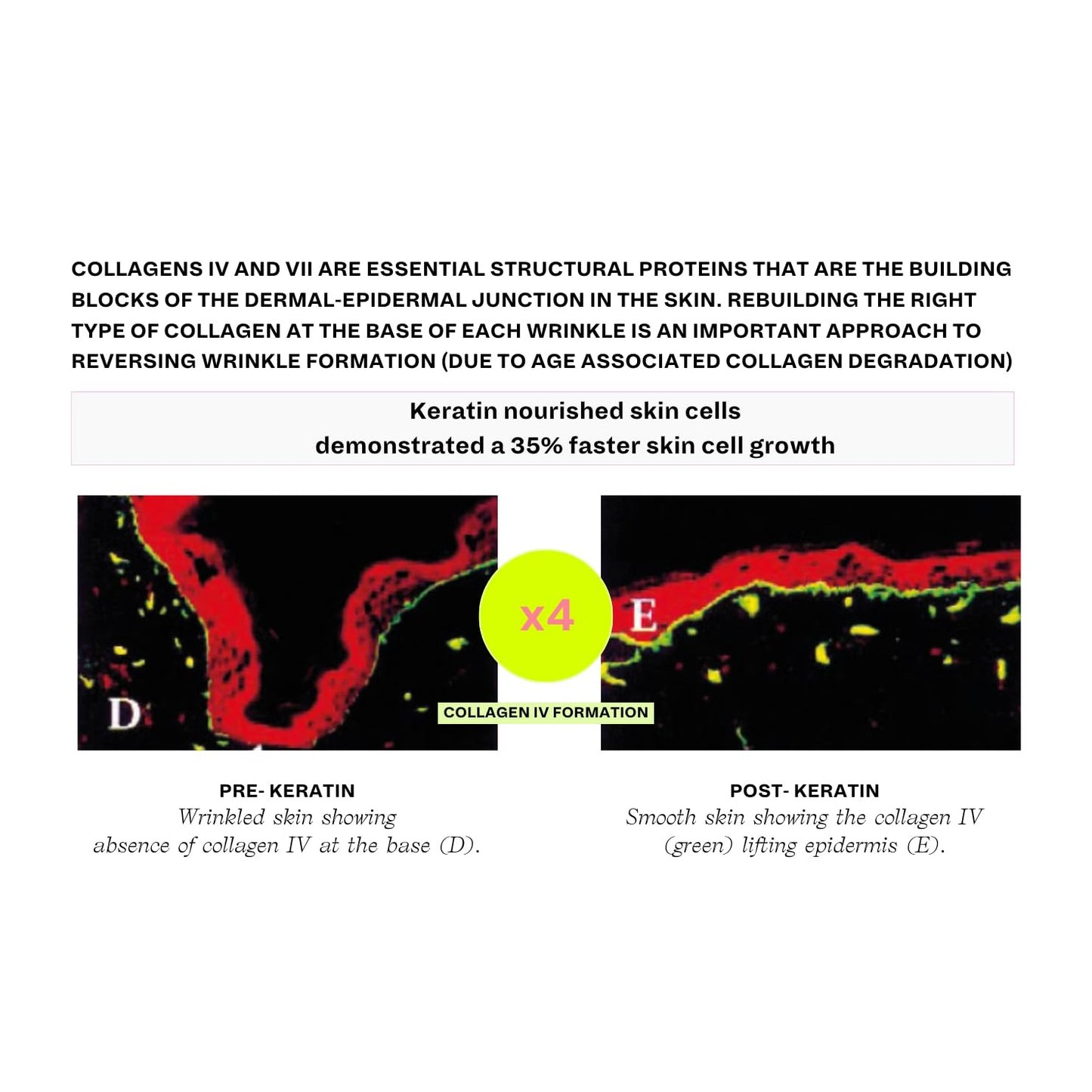 Crushed Tonic - 1 Month Supply of Hair Boosters with Keratin & Biotin to Promote Thicker Hair, Stronger Roots, Healthier Nails - Medaid International