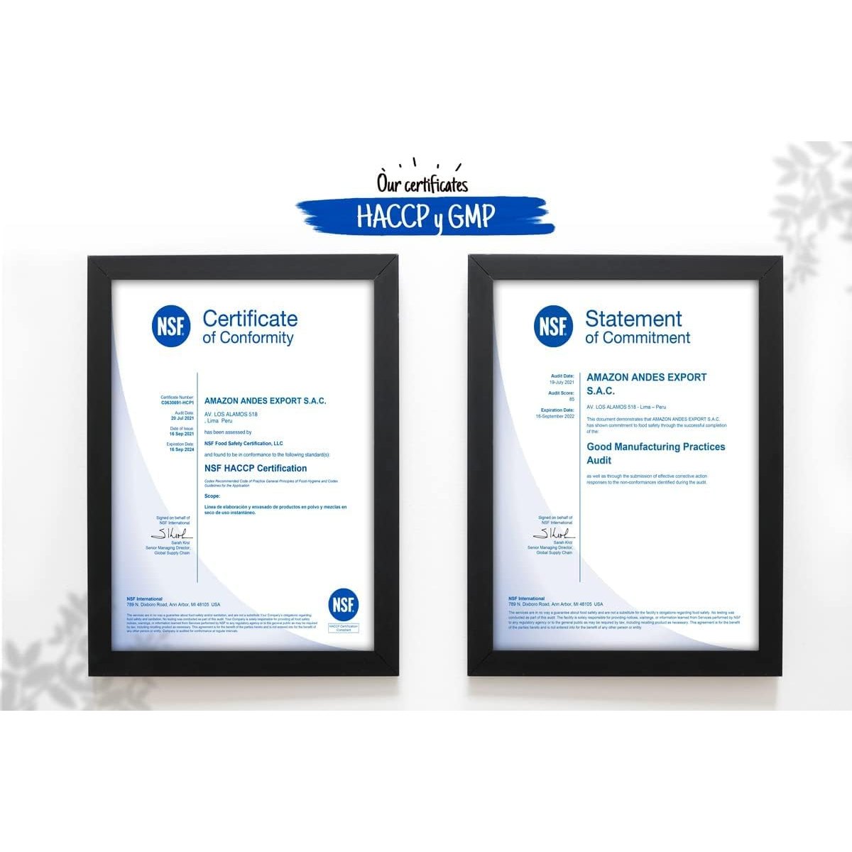 Aguaje with Red Maca Powder - 120 Pills - 1000mg Serving - Rich Phytostrogens Source - 100% Natural - Non GMO - Vegan - Wild Harvested in Peru - Medaid International