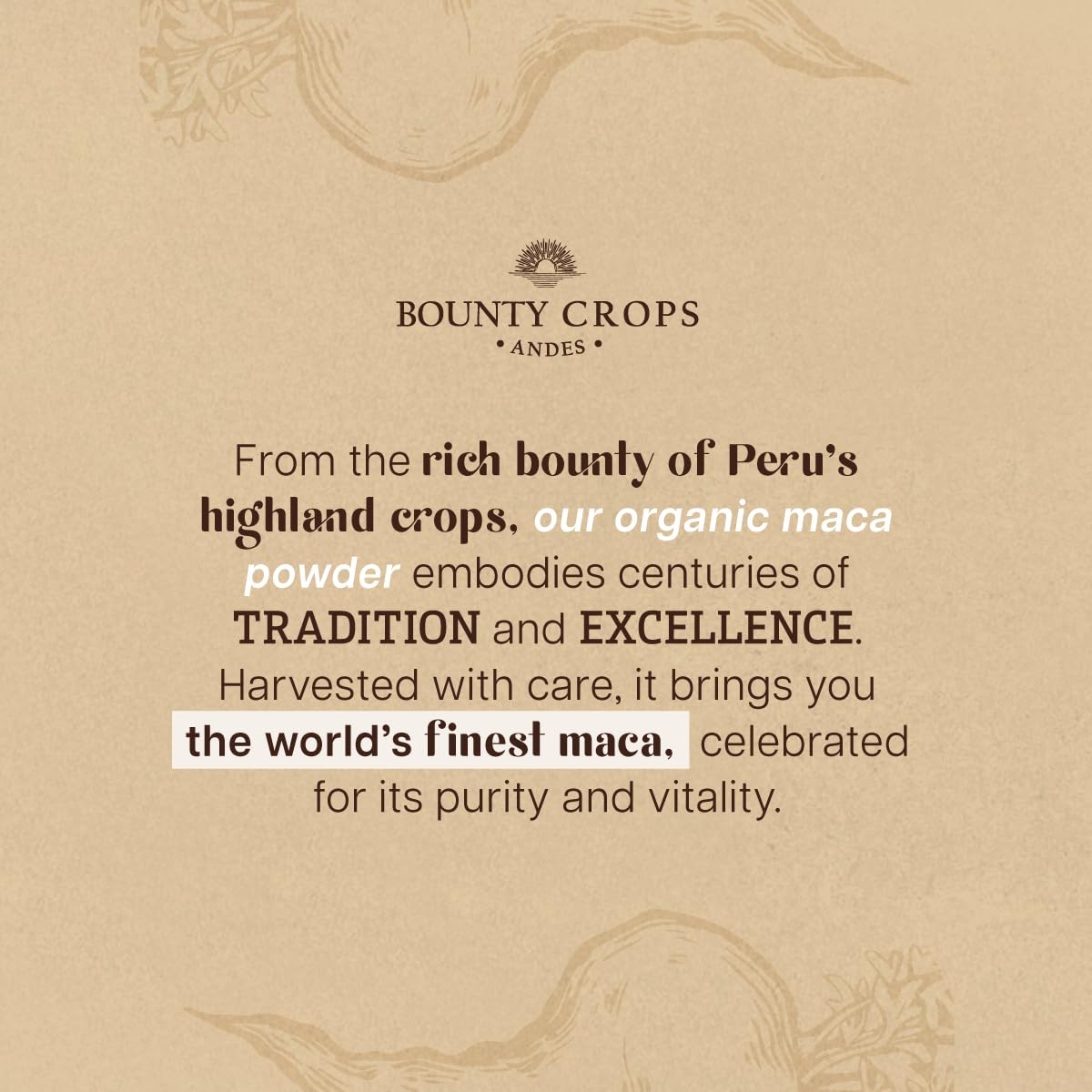 Bounty Crops Organic Maca Powder CAPSULES-1000 mg per Serving, Gelatinized, Non-GMO, 200 Vegan Capsules, Black, Red, and Yellow Peruvian Maca, Energy and Vitality Support. - Medaid International