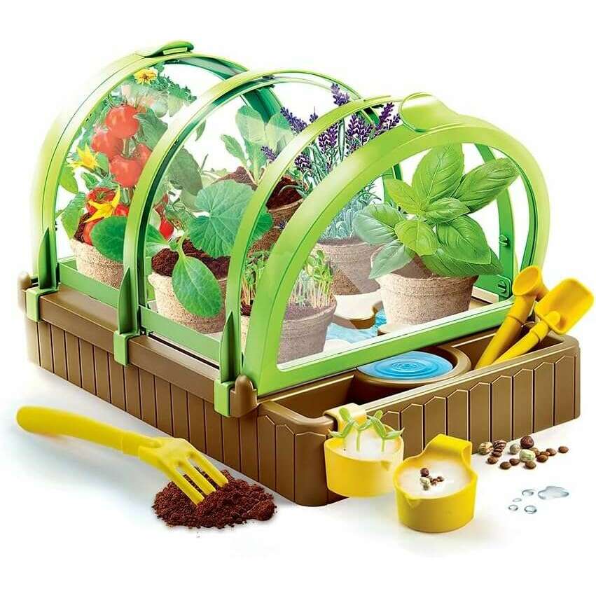 Science Greenhouse for Children- Ages 7 Years - Medaid International