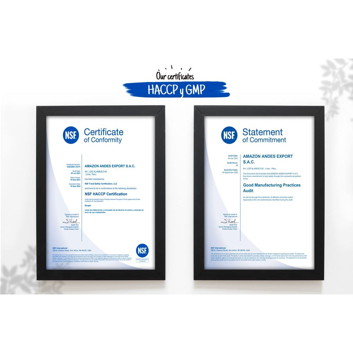 Amazon Andes Red maca Root Capsules - Female Health Supplement - Natural Energizer - USDA NOP Certified - Genitalized, Non GMO & Gluten Free - 100 Vegan Pills (1500mg per Serving) - Made in Peru - Medaid International