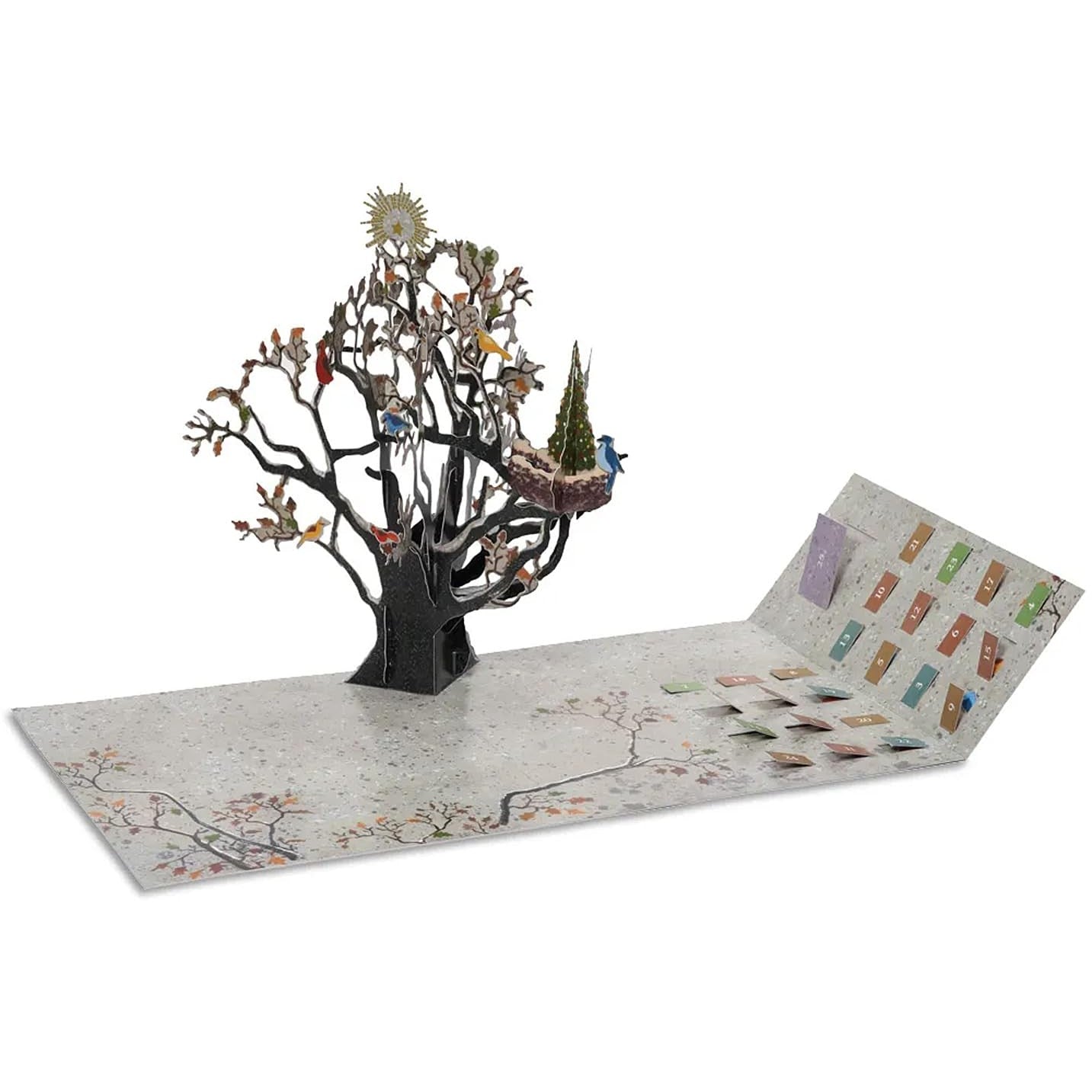 Advent Calendars for Adults, Kids, Women, Men, Xmas Countdown, Family Christmas Games Xmas Crafts Activities Holiday Party Ideas Gifts for Bird Lovers - Medaid International