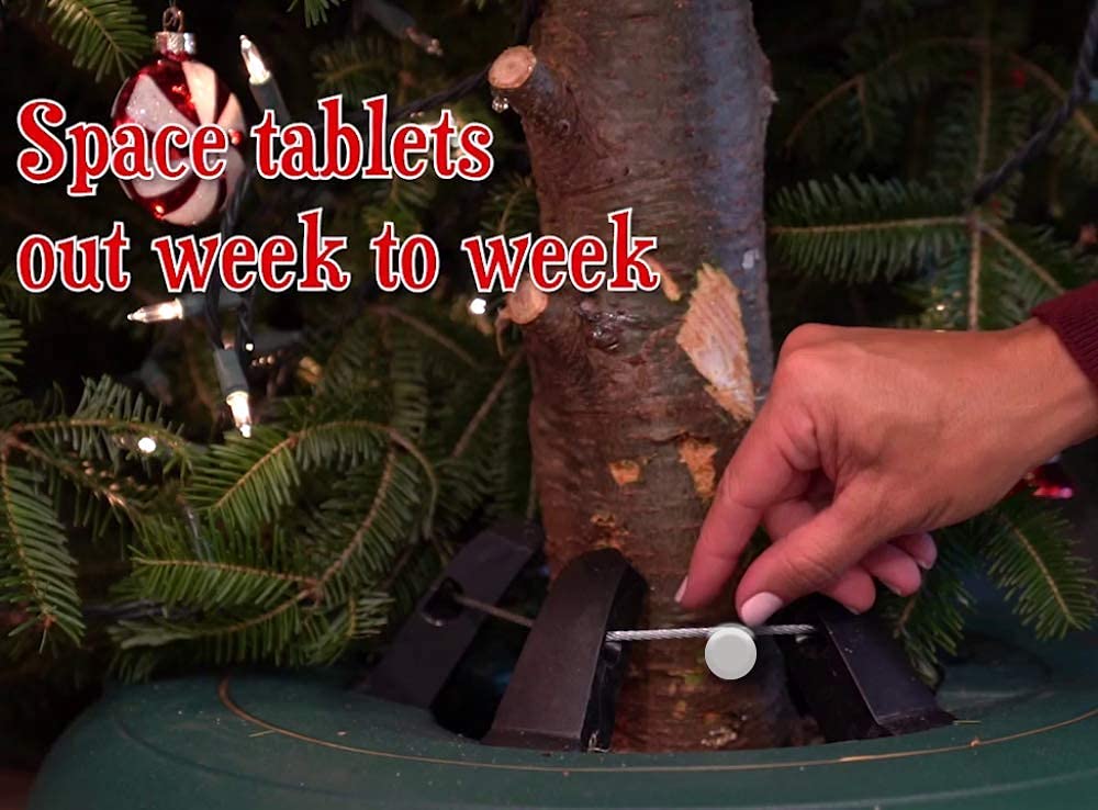 Forest Fresh Christmas Tree Preservative Tablets – Tree Water Additive for Live Fresh-Cut Trees – Keeps Trees Hydrated and Reduces Needle Drop – Non-Toxic, Made in USA – 1 Packet (8 Tablets) - Medaid International