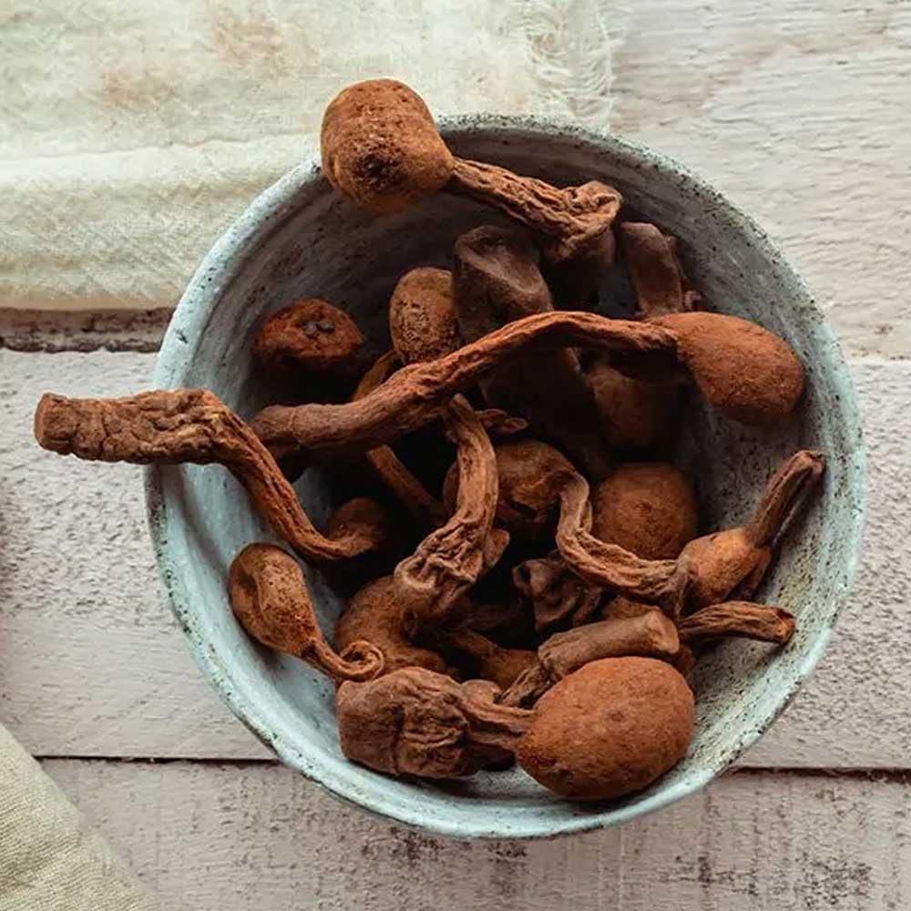 Black Maca Root and Huanarpo Macho Capsules l 100% Natural Energizer and Booster l Immune Support for Men (1500mg per Serving) l Male Health supplenent l Amazon Andes - Medaid International