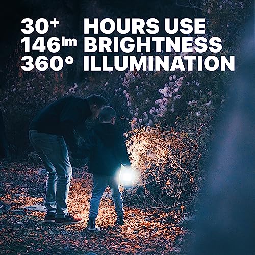 MalloMe - Red And Purple Camping Lanterns, Pack Of 2 Emergency Lights