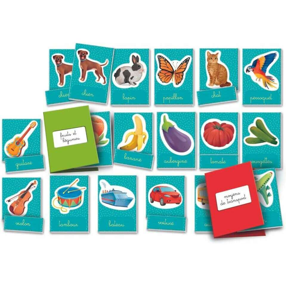 Words in Montessori Images | Includes 40 Cards, 20 Labels, 4 Sleeves - FR - Medaid International