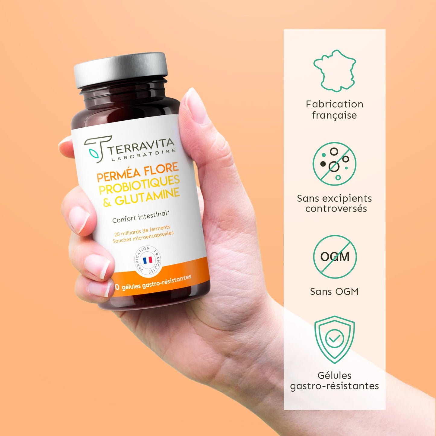 Permea Flore | PROBIOTIQUES + GLUTAMINE | Flore Intestinale et Cicatrisation de la Muqueuse | Idéal Contre la Perméabilité Intestinale | 60 Gélules Gastro-résistantes | Made in France | Terravita - Medaid International
