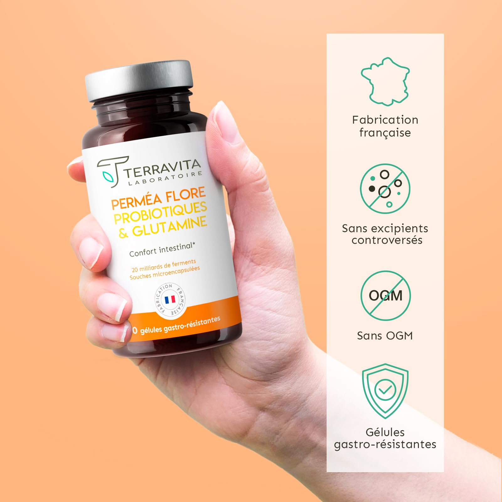 Permea Flore | PROBIOTIQUES + GLUTAMINE | Flore Intestinale et Cicatrisation de la Muqueuse | Idéal Contre la Perméabilité Intestinale | 60 Gélules Gastro-résistantes | Made in France | Terravita - Medaid International