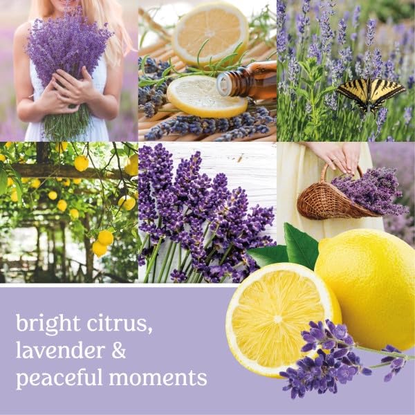Yankee Candle Scent Plug Refill, Lemon Lavender (Pack of 1) - Medaid International