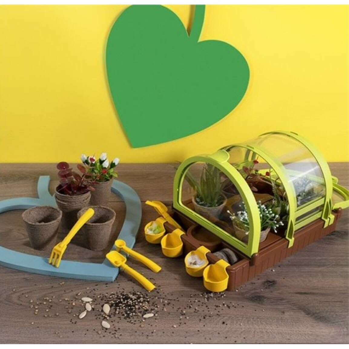 Science Greenhouse for Children- Ages 7 Years - Medaid International