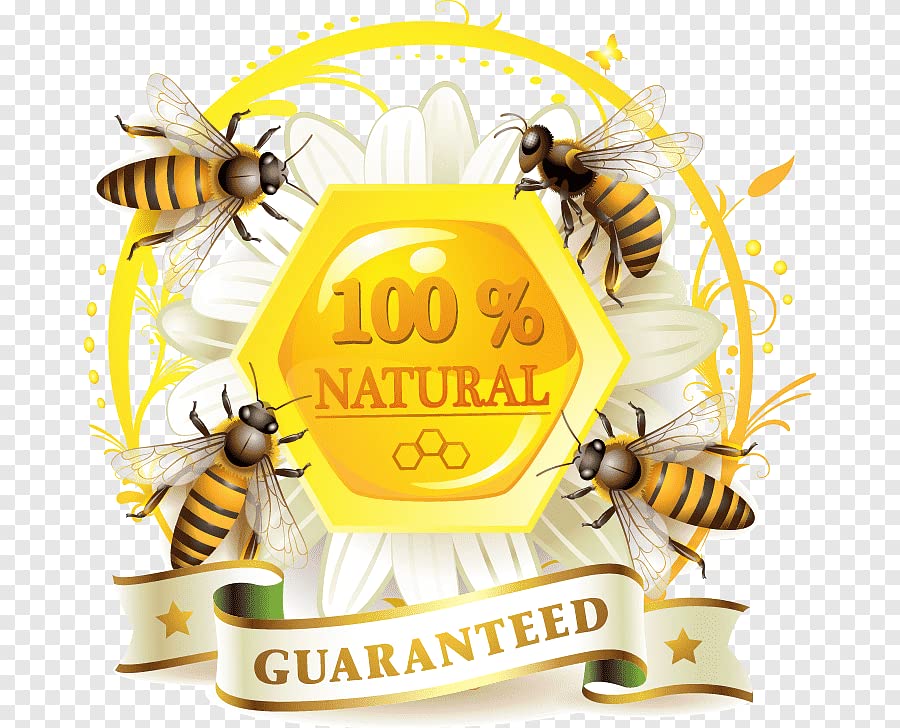 Airborne Manuka Honey Monofloral 70+, 100% Pure New Zealand Honey. Certified. Guaranteed. RAW. Non-GMO (17.85 oz) - Medaid International