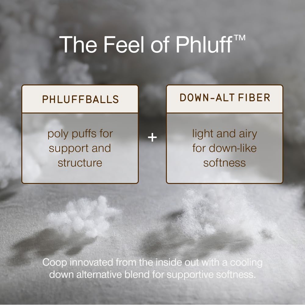 Coop Home Goods Essence Down Alternative Pillow Set of 2, Queen Size, Best Pillows for Sleeping, Adjustable Alternative to Down Pillows, Luxury Hotel Pillow for Back, Stomach or Side Sleepers - Medaid International