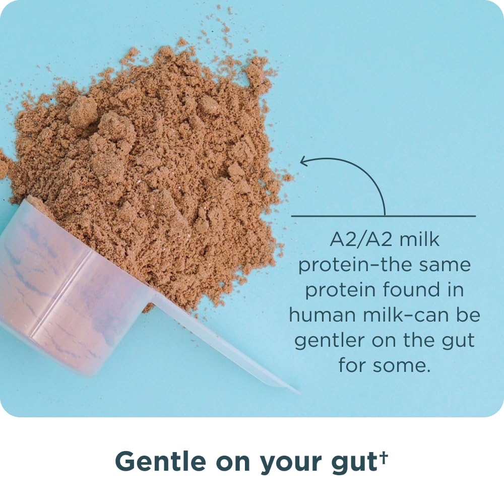 Ancient Nutrition Grass Fed Whey Protein, Milk Chocolate, 23g Protein, 20 Servings, Hydrolyzed Collagen Peptides, Organic Regenerative A2/A2 Milk Protein - Medaid International