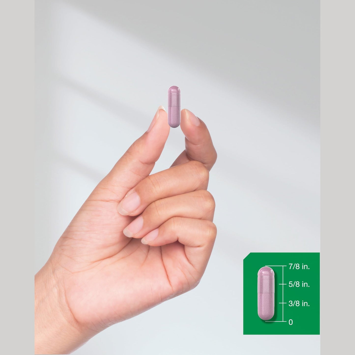 Horbäach Beet Root Powder Capsules | 220 Pills | Herbal Extract | Non-GMO, Gluten Free Supplement - Medaid International