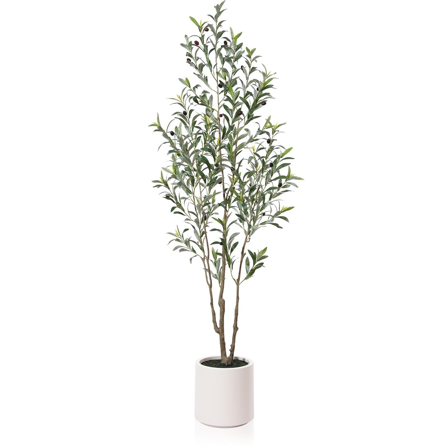 LOMANTO Artificial Olive Trees, 6 ft Tall Fake Olive Trees for Indoor, Faux Olive Silk Tree, Large Olive Plants with White Planter for Home Decor and Housewarming Gift, 1 Pack - Medaid International