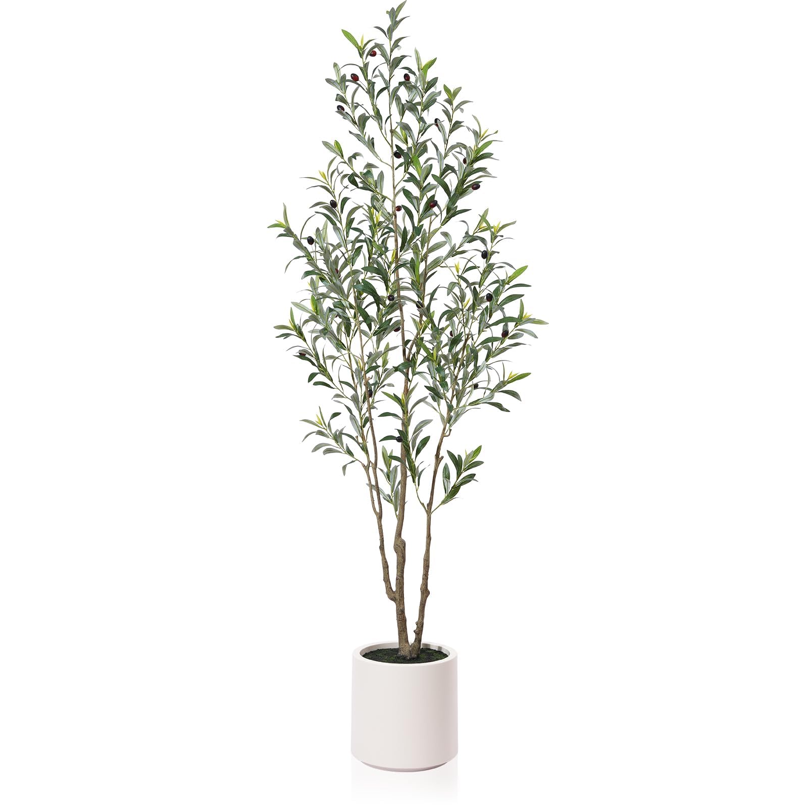LOMANTO Artificial Olive Trees, 6 ft Tall Fake Olive Trees for Indoor, Faux Olive Silk Tree, Large Olive Plants with White Planter for Home Decor and Housewarming Gift, 1 Pack - Medaid International