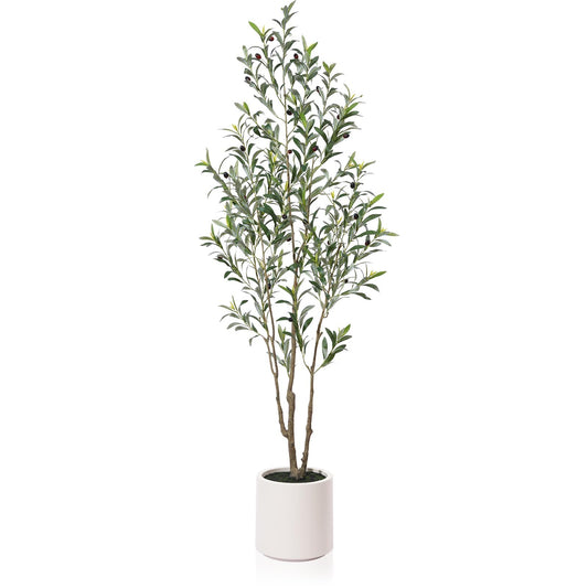 LOMANTO Artificial Olive Trees, 6 ft Tall Fake Olive Trees for Indoor, Faux Olive Silk Tree, Large Olive Plants with White Planter for Home Decor and Housewarming Gift, 1 Pack - Medaid International