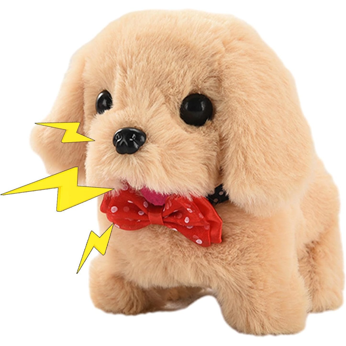 Moving Dog - Medaid International