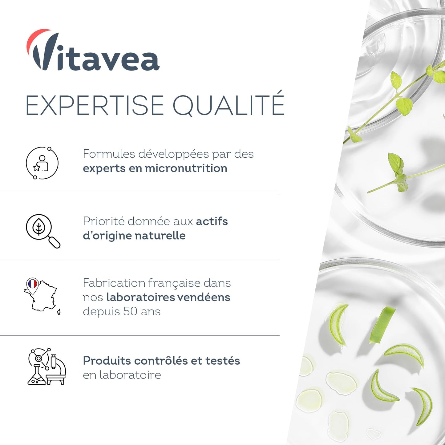 Probiotique Flore Intestinale - 7 souches dont Lactobacillus & Bifidobacterium - 28 Milliards d'UFC/jour - Transit & Microbiote Intestinal - 60 Gélules Végétales – Fabriqué en France - Vitavea - Medaid International