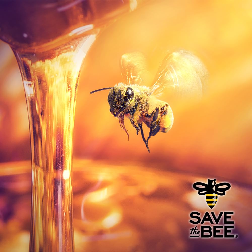 Glorybee, Organic Light & Mild Honey, 100% US Grade A Honey, 5lb - Medaid International