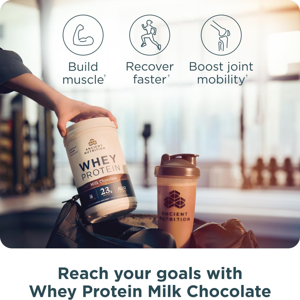 Ancient Nutrition Grass Fed Whey Protein, Milk Chocolate, 23g Protein, 20 Servings, Hydrolyzed Collagen Peptides, Organic Regenerative A2/A2 Milk Protein - Medaid International