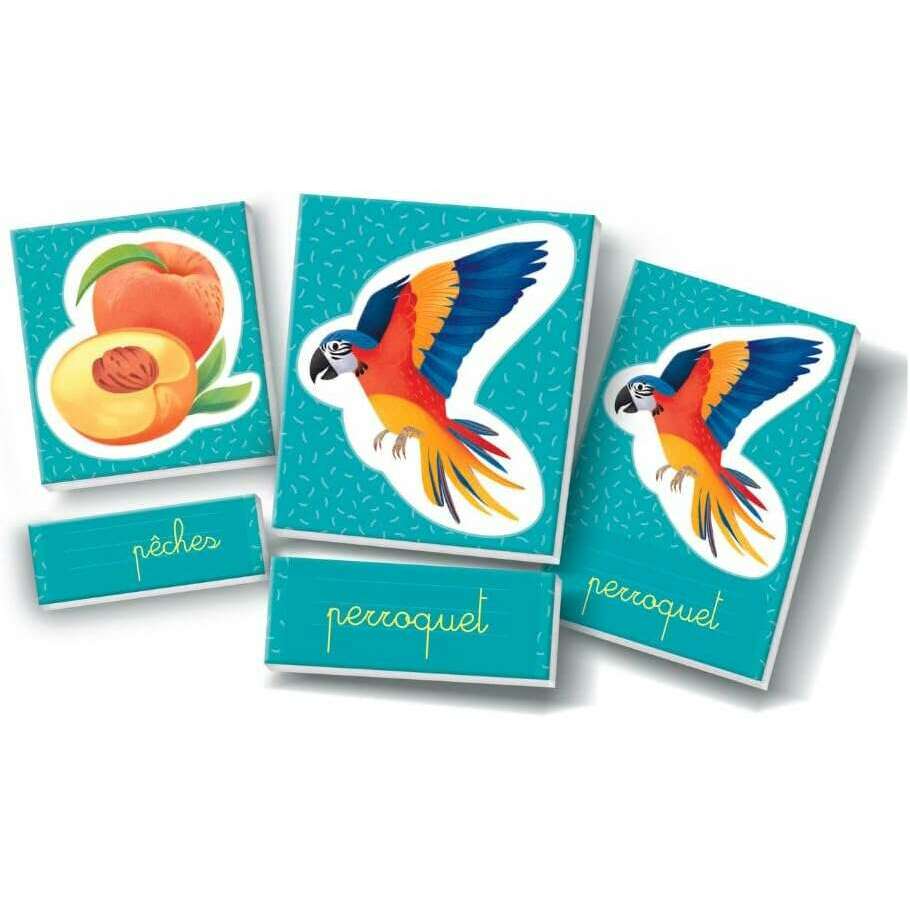 Words in Montessori Images | Includes 40 Cards, 20 Labels, 4 Sleeves - FR - Medaid International