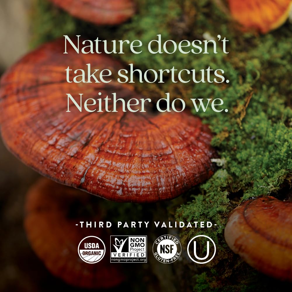 New Chapter Fermented Vitamin D3 2,000 IU, Organic, ONE Daily for Immune, Heart & Bone Support + Whole-Food Turmeric, Adaptogenic Reishi Mushroom, 100% Vegetarian, Gluten Free, 60 Count - Medaid International