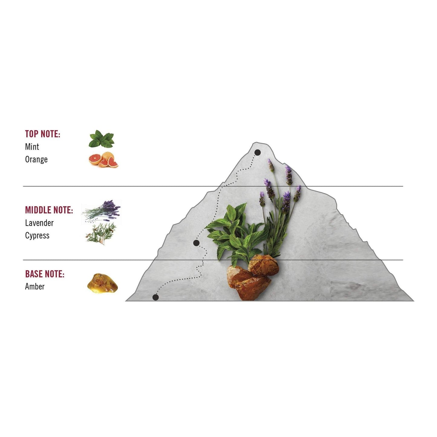 Swiss Army for Men 3.4 oz Eau de Toilette Spray (P40102) - Medaid International