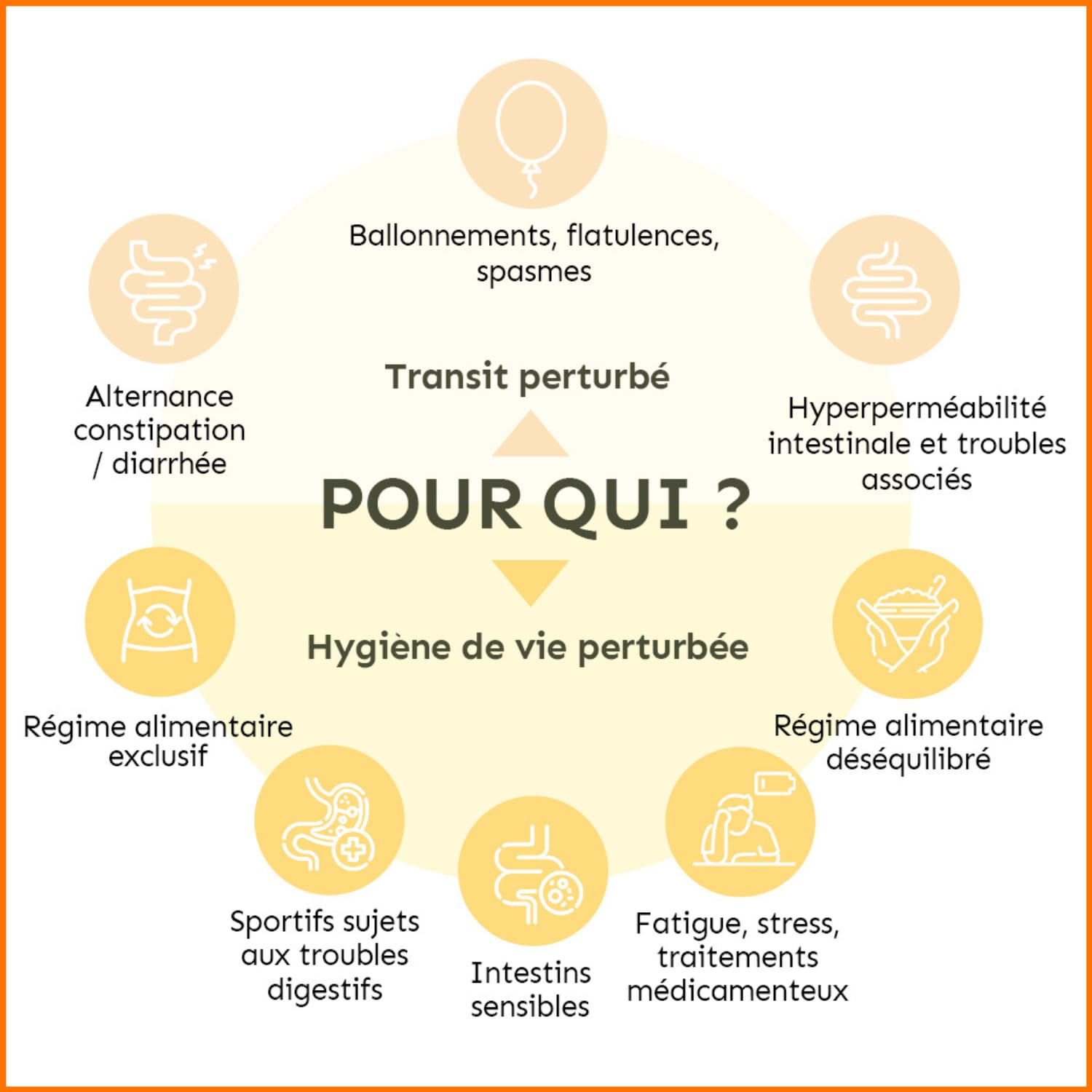 Permea Flore | PROBIOTIQUES + GLUTAMINE | Flore Intestinale et Cicatrisation de la Muqueuse | Idéal Contre la Perméabilité Intestinale | 60 Gélules Gastro-résistantes | Made in France | Terravita - Medaid International