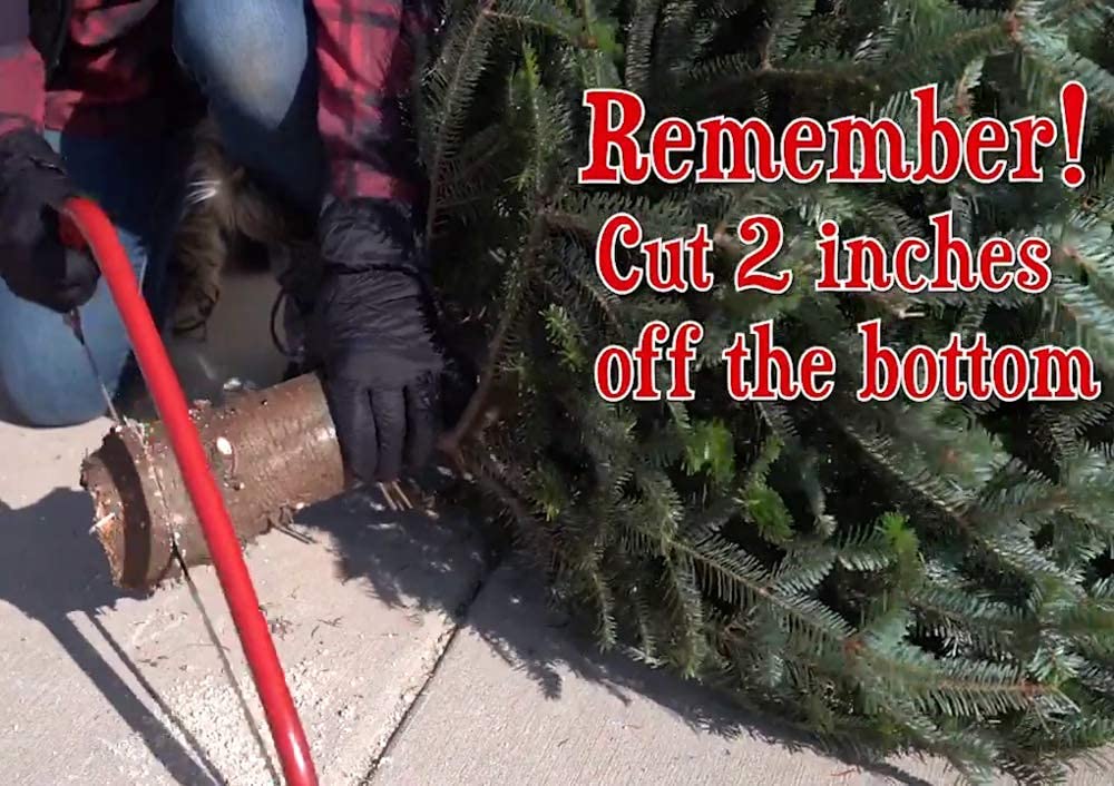 Forest Fresh Christmas Tree Preservative Tablets – Tree Water Additive for Live Fresh-Cut Trees – Keeps Trees Hydrated and Reduces Needle Drop – Non-Toxic, Made in USA – 1 Packet (8 Tablets) - Medaid International