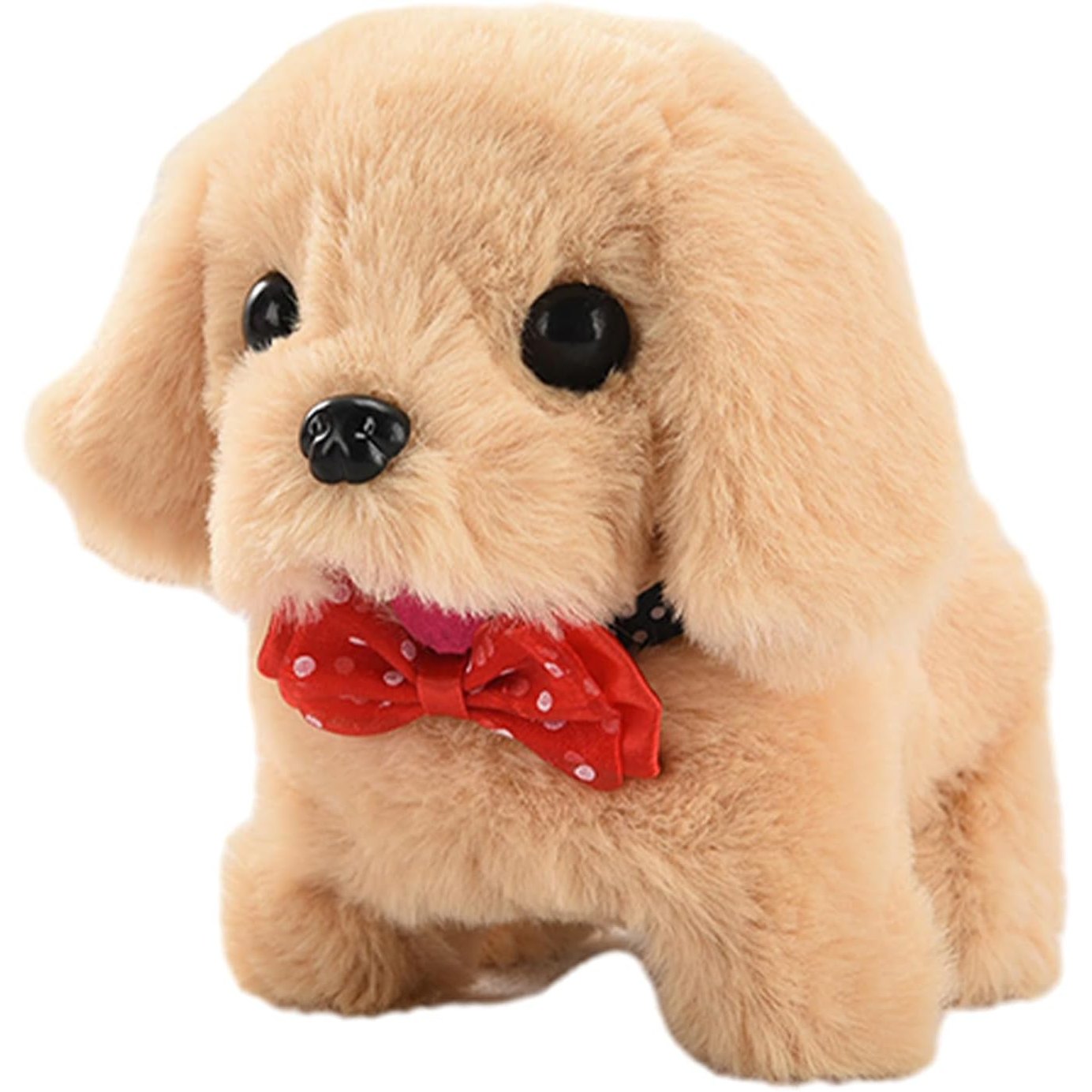 Moving Dog - Medaid International