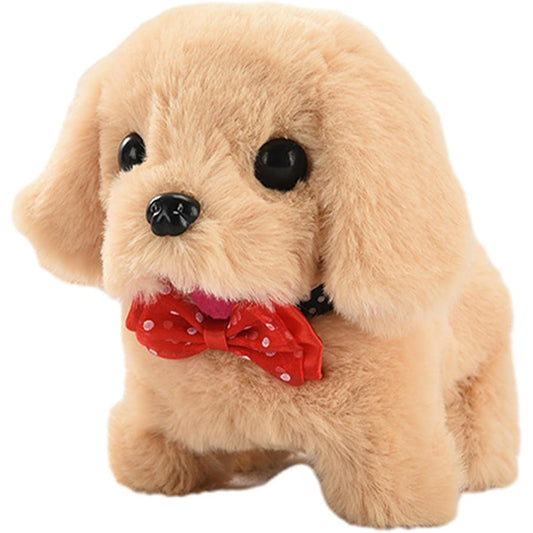 Moving Dog - Medaid International