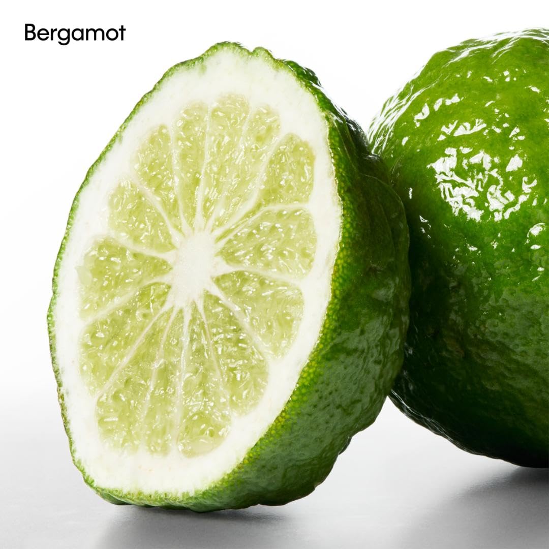 Calvin Klein CK One Deodorant Stick – With Notes of Green Tea, Bergamot, Cardamom, Violet & Amber – 2.6oz - Medaid International