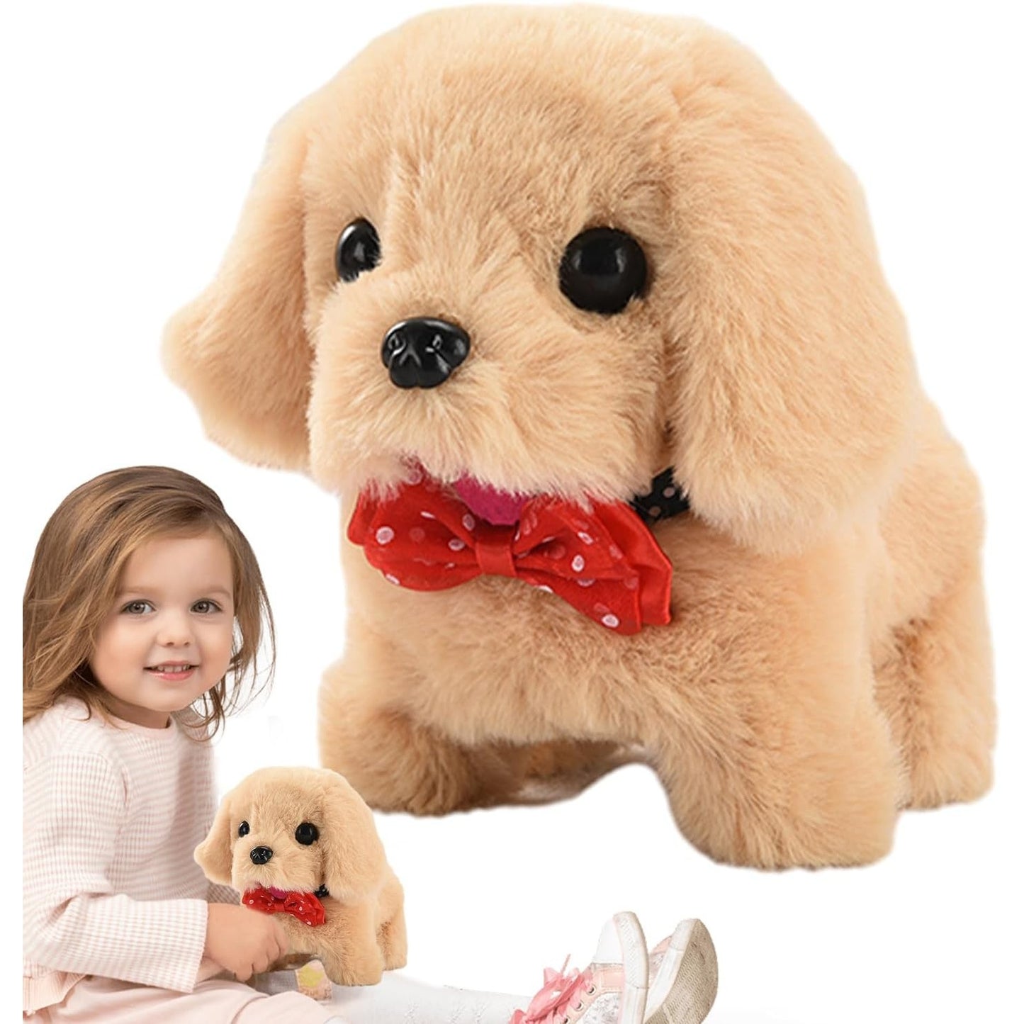 Moving Dog - Medaid International